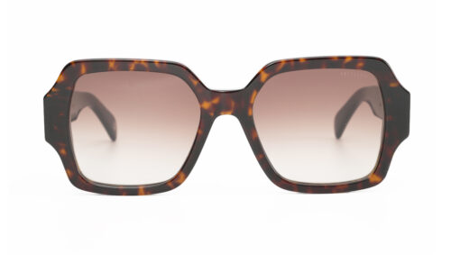 c47f-p-dark-tortoise-brown-gradient-polarized-glass