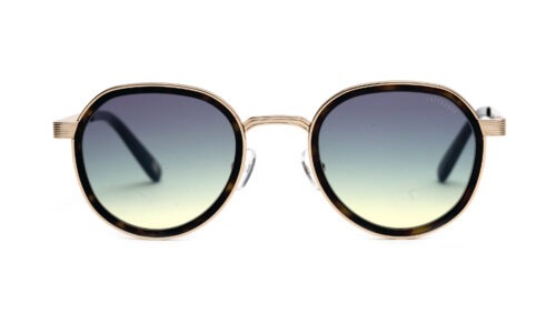 c94s-tortoiseshell-gold-bottle-green-gradient-glass