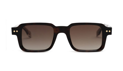 c947f-p-ecaille-fonce-exterieur-branche-translucide-verre-polarise-degrade-marron