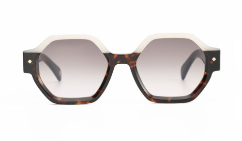 c191q-ecaille-fonce-beige-clair-verre-degrade-marron-rose-b