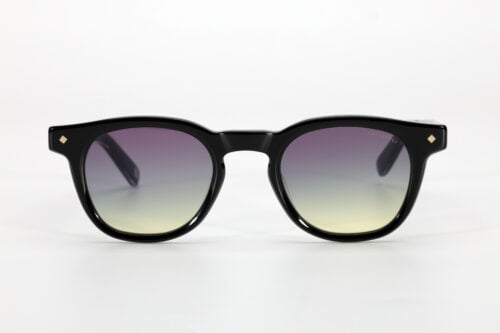 c901s-noir-brillant-exterieur-branche-translucide-verre-degrade-vert-bouteille