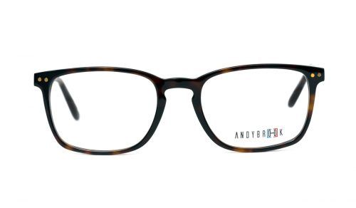 c47-dark-tortoiseshell