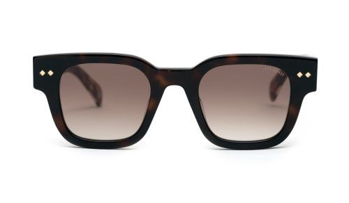 c105-dark-tortoiseshell-translucent-temple-exterior