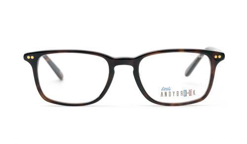 c105-dark-tortoiseshell-translucent-temple-exterior