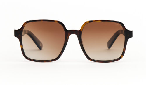 c47f-p-dark-tortoise-brown-gradient-polarized-glass