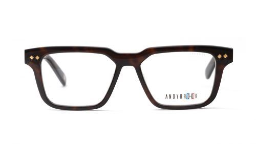 c105-dark-tortoiseshell-translucent-temple-exterior